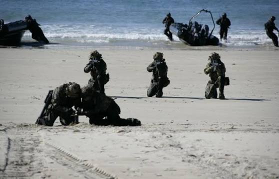 Desembarco anfibio de la Infantería de Marina en una playa